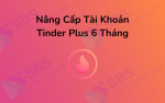 Nâng Cấp Tài Khoản Tinder Plus 6 Tháng Giá Rẻ