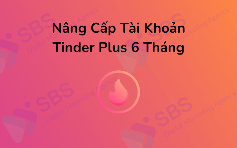 Nâng Cấp Tài Khoản Tinder Plus 6 Tháng Giá Rẻ